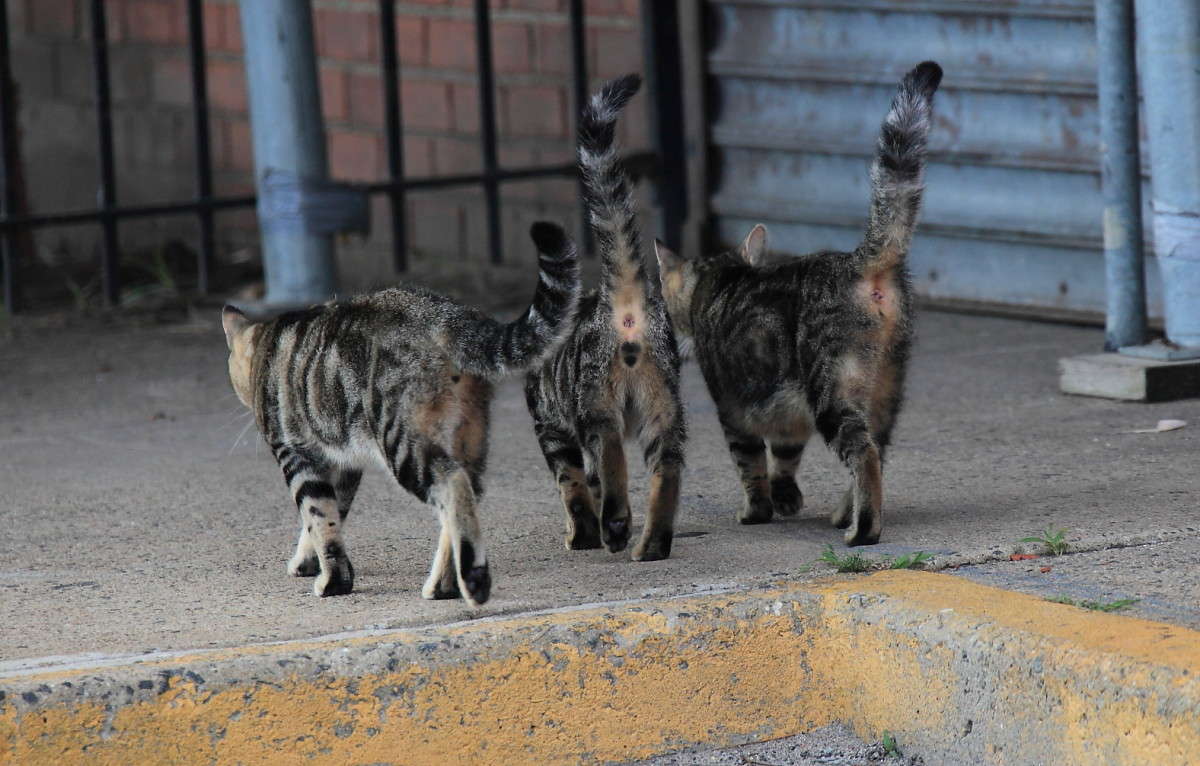 ��������� ������ 5 ����� Naum Likholat �� PhotoGeek.ru #�������� ���