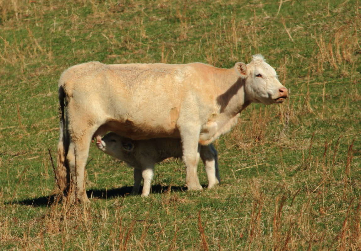 ��������� ������ 2 ����� Naum Likholat �� PhotoGeek.ru #�������� ���