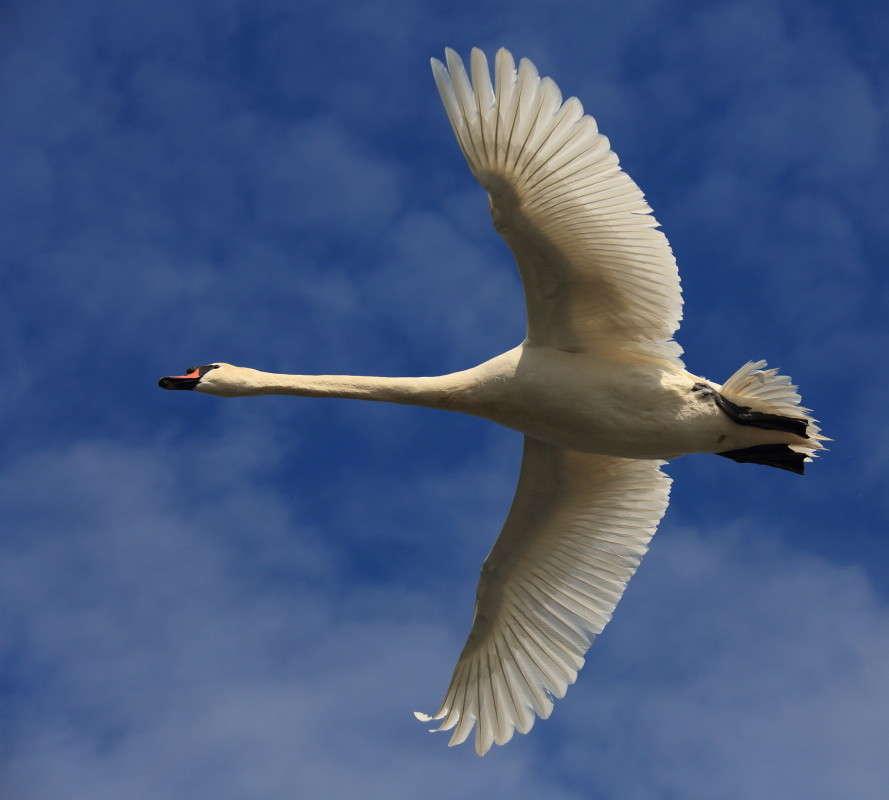 ... ����� Naum Likholat �� PhotoGeek.ru #�������� ���