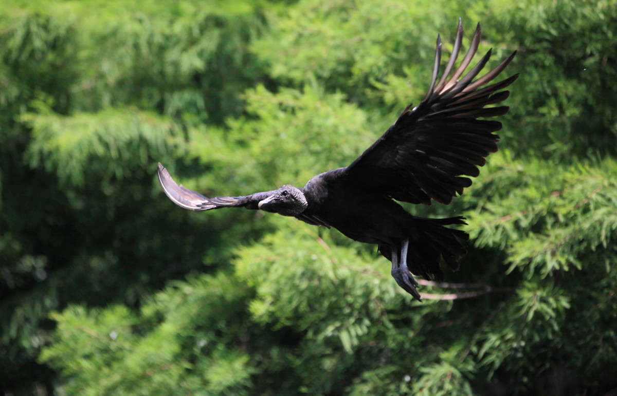 ... ����� Naum Likholat �� PhotoGeek.ru #�������� ���