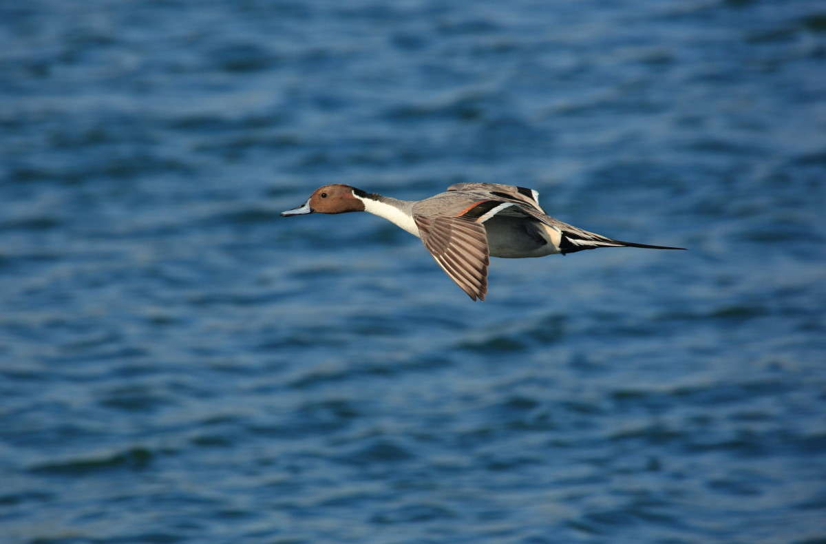 ... ����� Naum Likholat �� PhotoGeek.ru #�������� ���