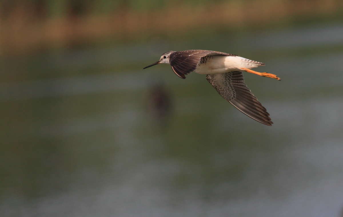 ... ����� Naum Likholat �� PhotoGeek.ru #�������� ���