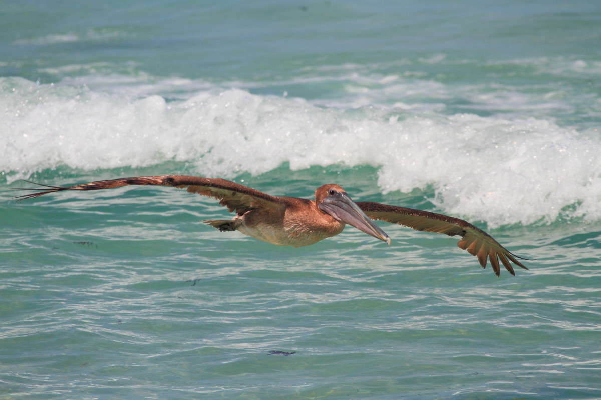 ... ����� Naum Likholat �� PhotoGeek.ru #�������� ���