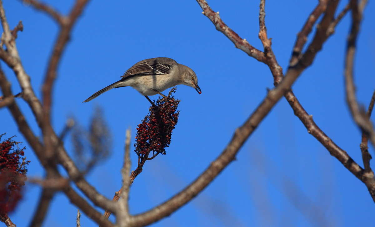 ... ����� Naum Likholat �� PhotoGeek.ru #�������� ���