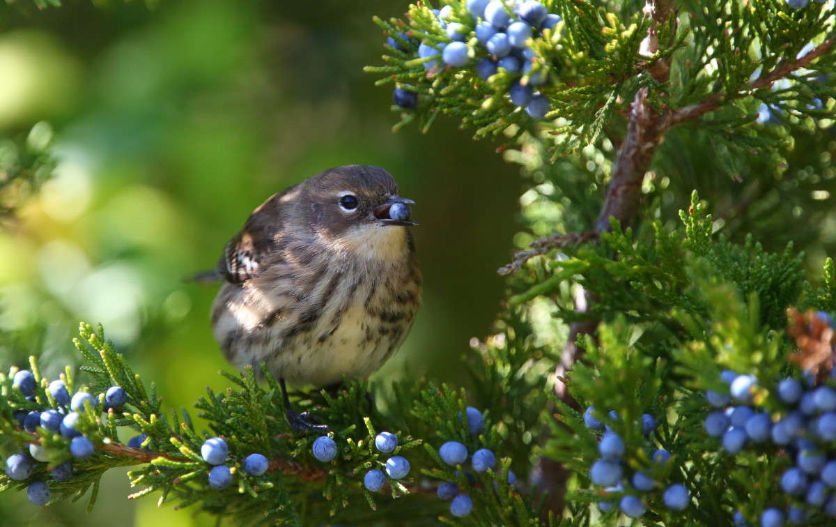 ... ����� Naum Likholat �� PhotoGeek.ru #�������� ���