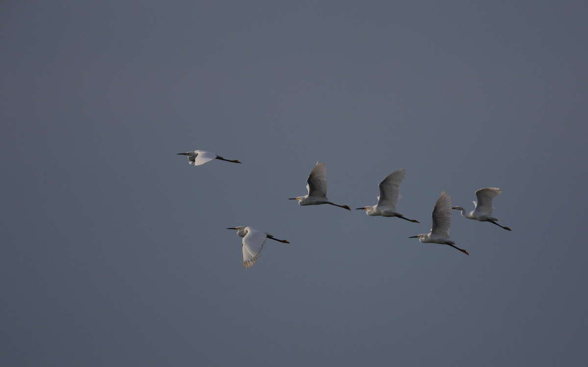 ... ����� Naum Likholat �� PhotoGeek.ru #�������� ���