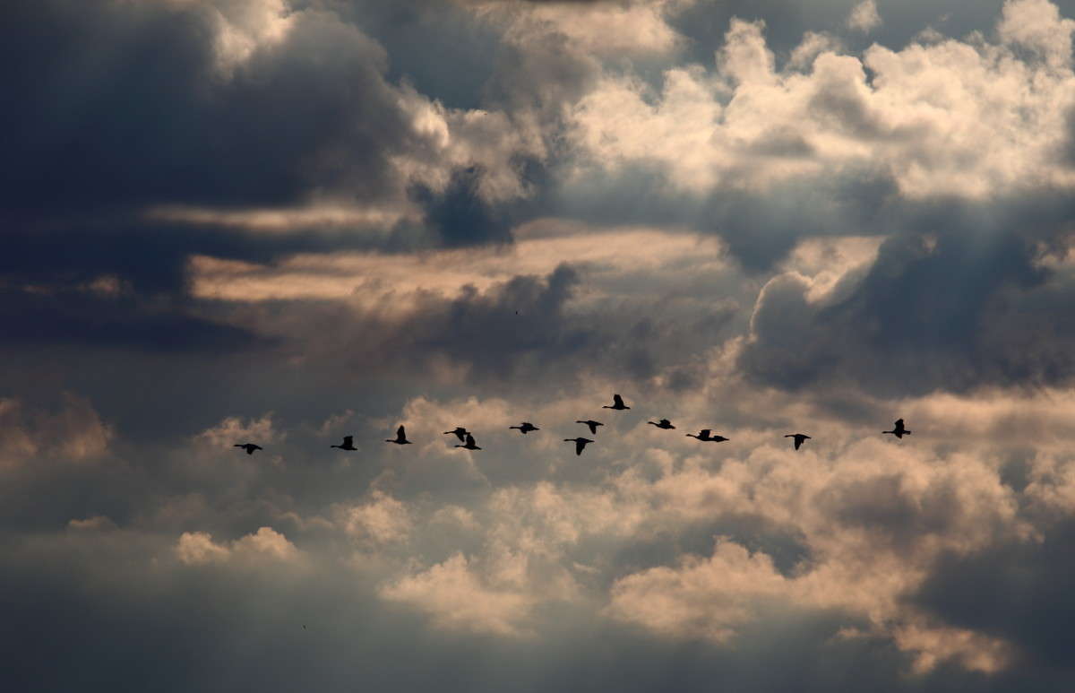 ... ����� Naum Likholat �� PhotoGeek.ru #�������� ���