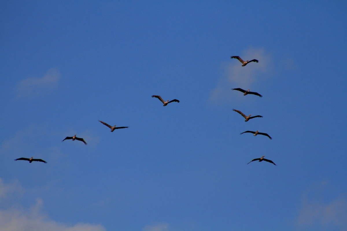 ... ����� Naum Likholat �� PhotoGeek.ru #�������� ���