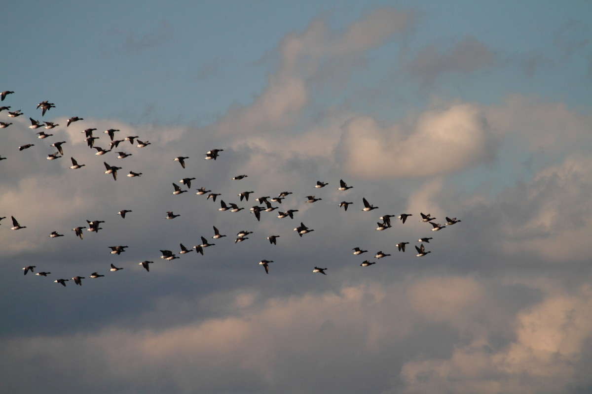 ... ����� Naum Likholat �� PhotoGeek.ru #�������� ���