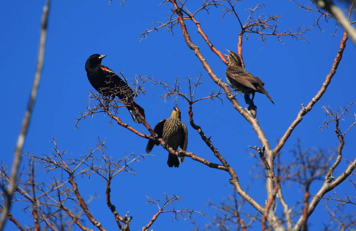 ������ ��� ����� Naum Likholat �� PhotoGeek.ru #�������� ���