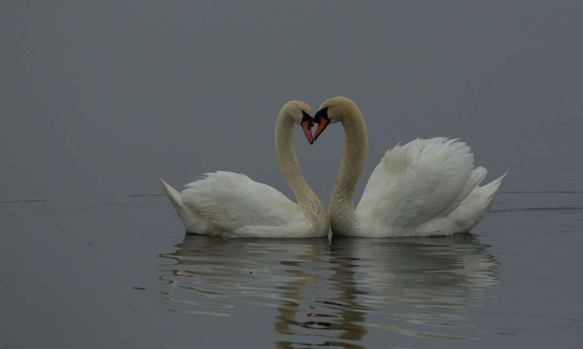 ������� �������� ����� Naum Likholat �� PhotoGeek.ru #�������� ���