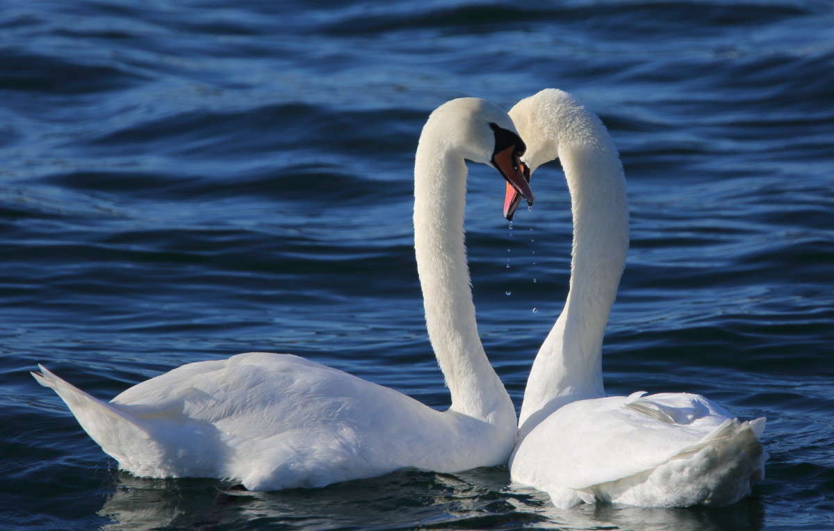 ... ����� Naum Likholat �� PhotoGeek.ru #�������� ���