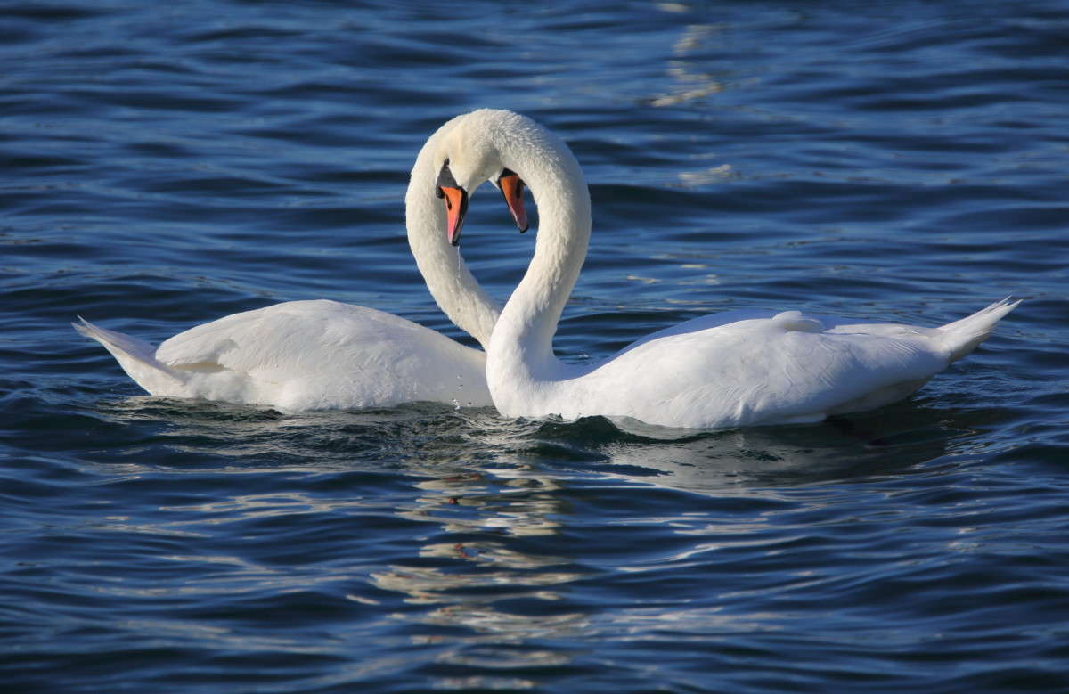 ... ����� Naum Likholat �� PhotoGeek.ru #�������� ���