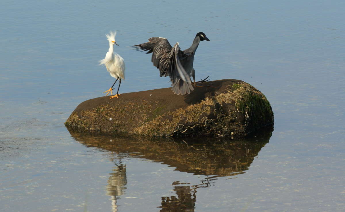 ��� ��� � �� ����� ����� Naum Likholat �� PhotoGeek.ru #�������� ���