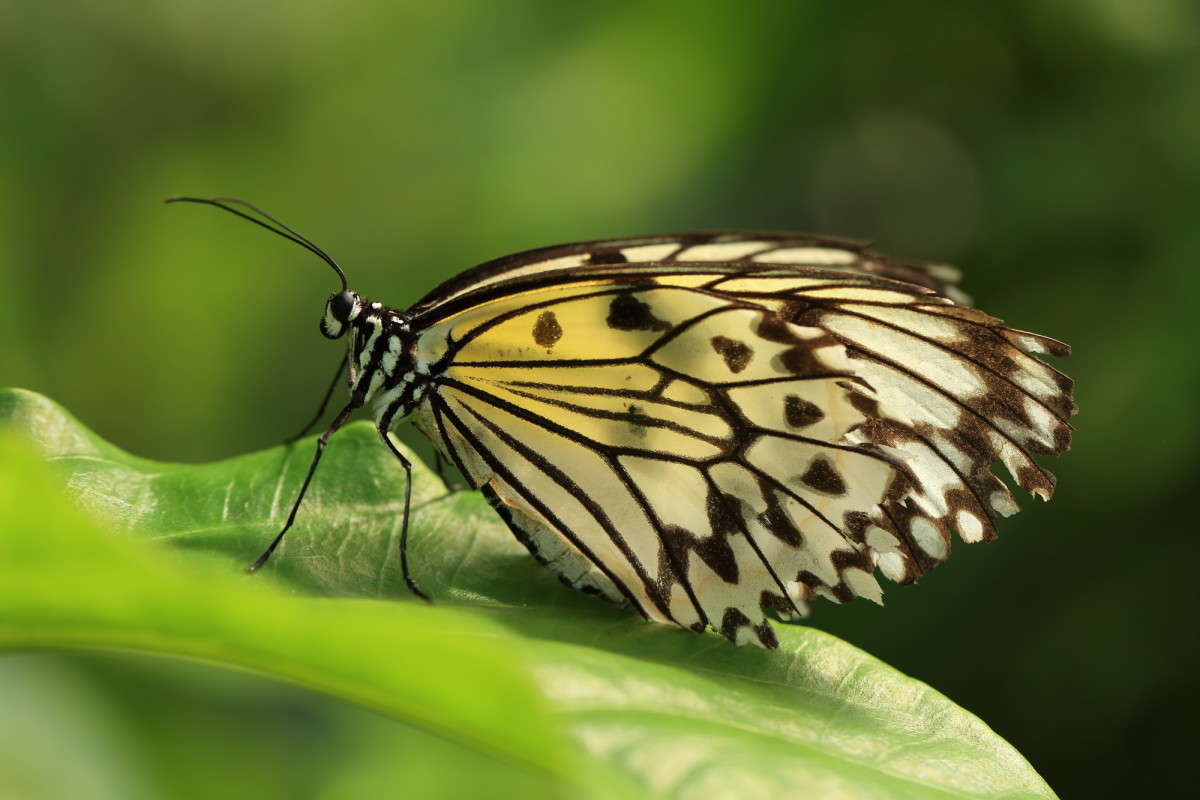 ... ����� Naum Likholat �� PhotoGeek.ru #�������� ���