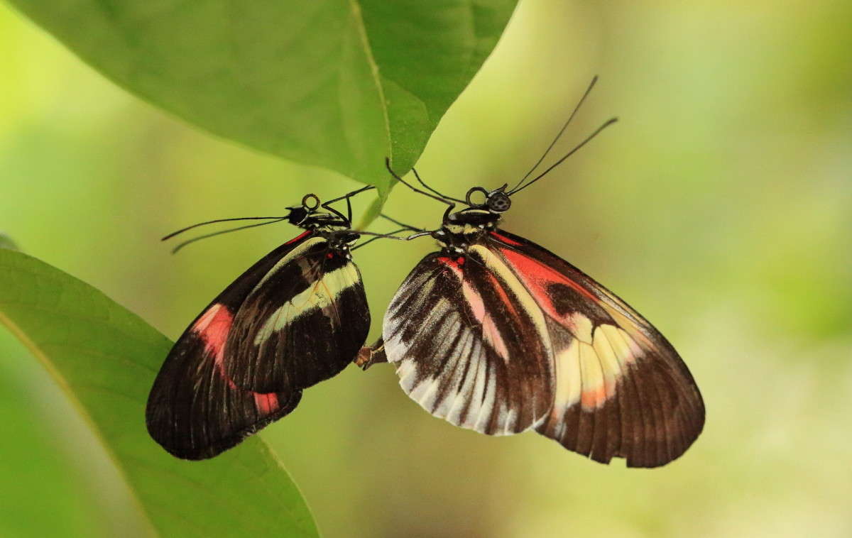 ... ����� Naum Likholat �� PhotoGeek.ru #�������� ���