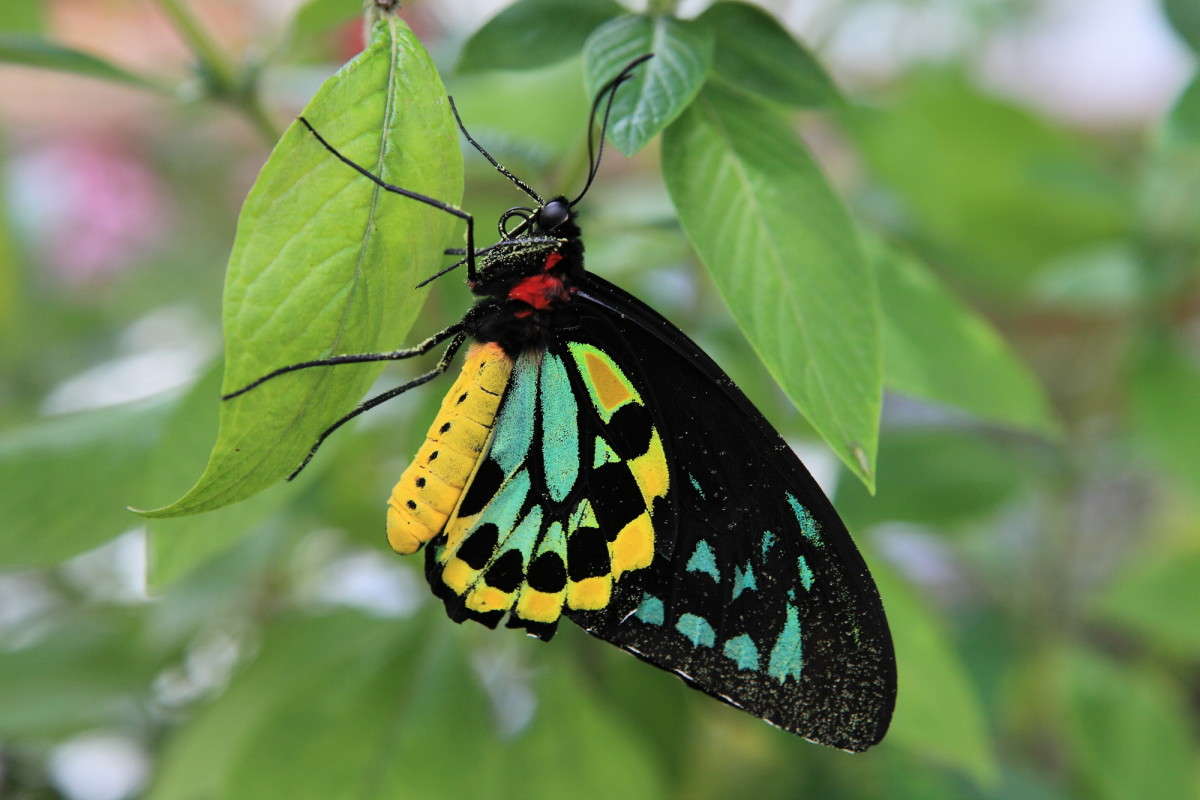 ... ����� Naum Likholat �� PhotoGeek.ru #�������� ���