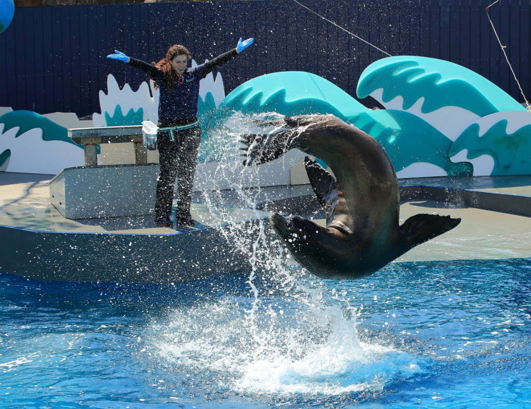 ... ����� Naum Likholat �� PhotoGeek.ru #�������� ���