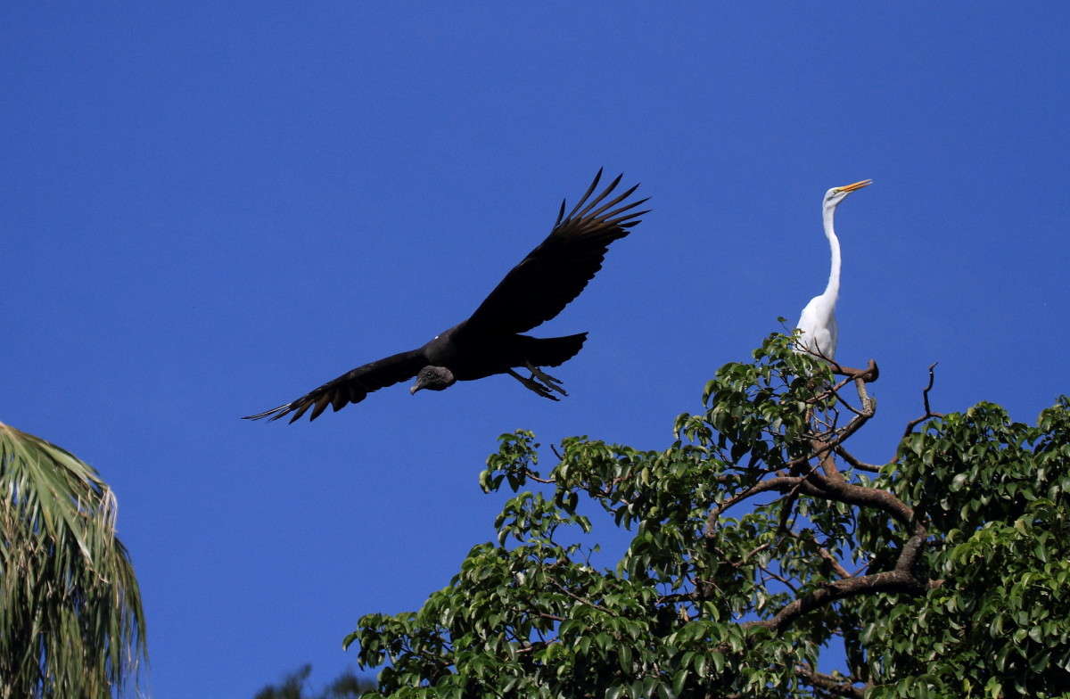 ... ����� Naum Likholat �� PhotoGeek.ru #�������� ���
