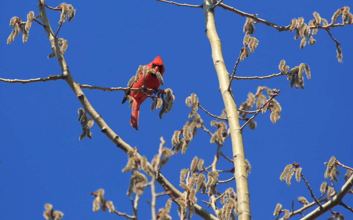 ��������� ������� ����� Naum Likholat �� PhotoGeek.ru #�������� ���