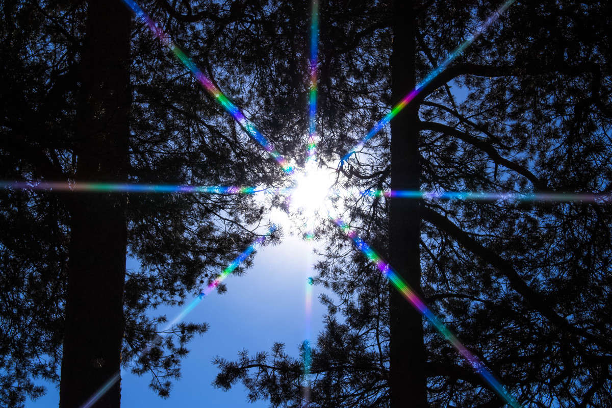 ... ����� ���� ������� �� PhotoGeek.ru #����� #������ ��� ������� #�������� ���������� #�������� #����� ��������������