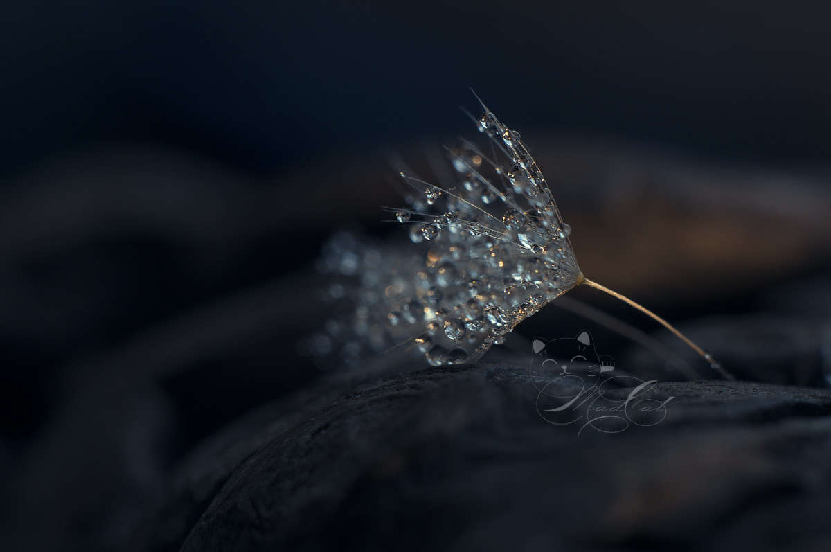 ... ����� ������� ������ �� PhotoGeek.ru #�����