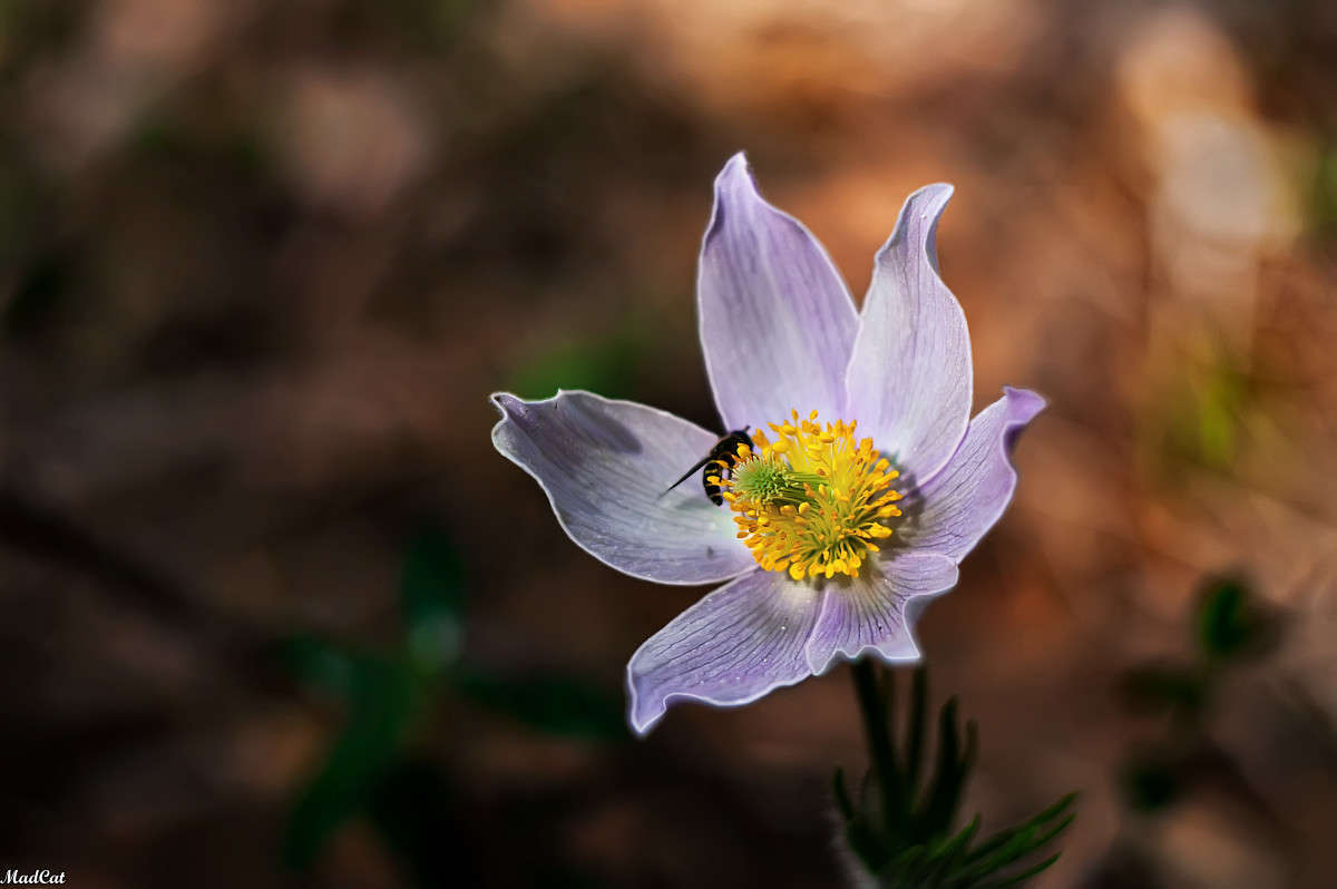 ... ����� ������� ������ �� PhotoGeek.ru #�����