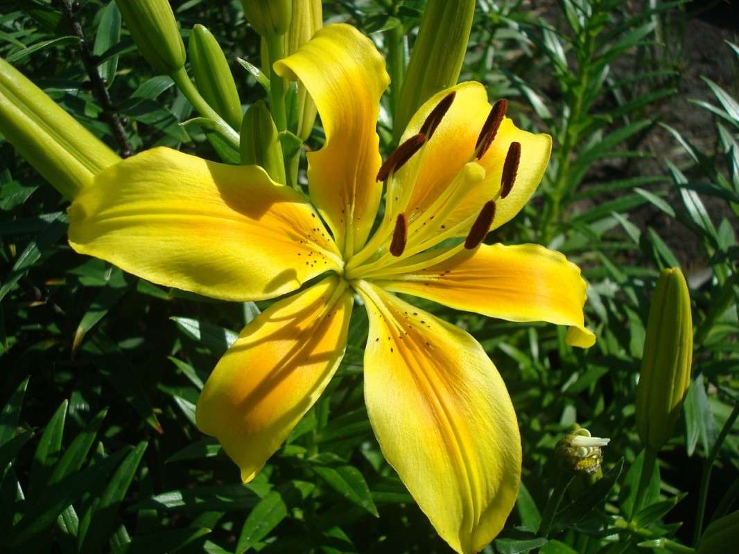 ... ����� ������ ����������� �� PhotoGeek.ru #������ ��� �������