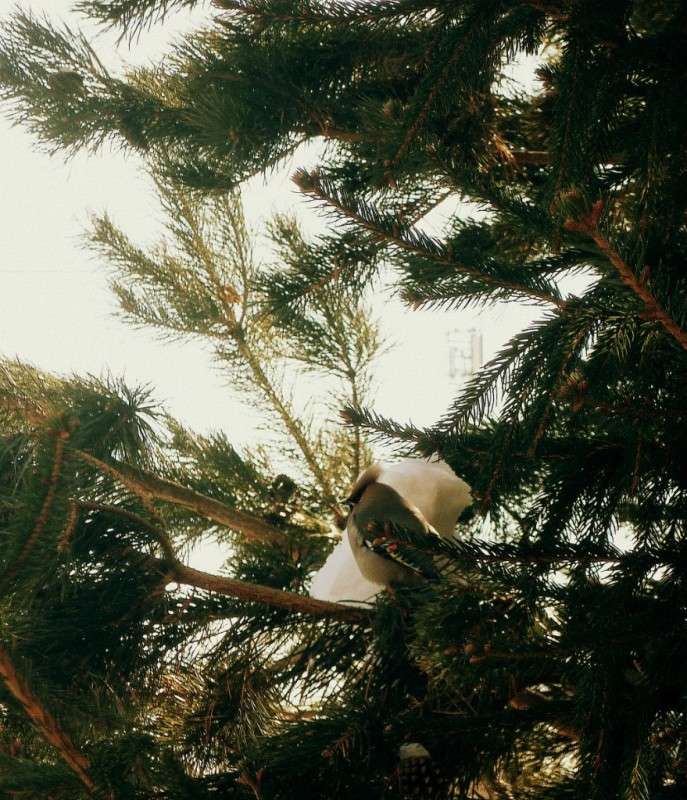 ���������� ����� ������ ����������� �� PhotoGeek.ru #�������� ���