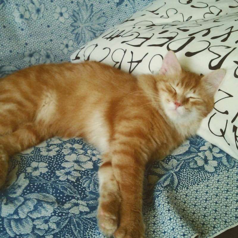 ��������� ����� ��� ����� ������ ����������� �� PhotoGeek.ru #�������� ���