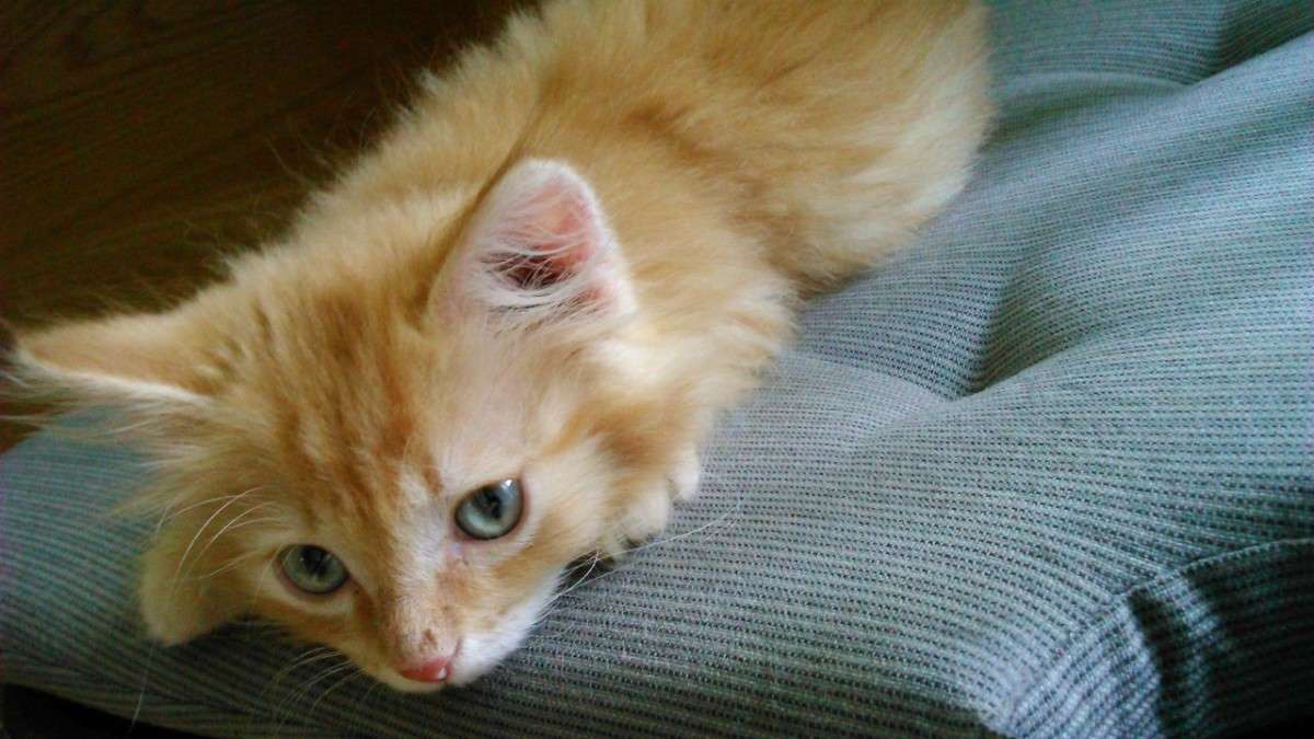 ������ ������� ����������� ����� ������ ����������� �� PhotoGeek.ru #�������� ���