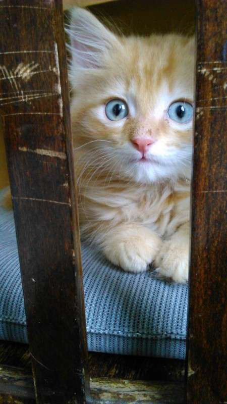 � - ����������� ����� ������ ����������� �� PhotoGeek.ru #�������� ���