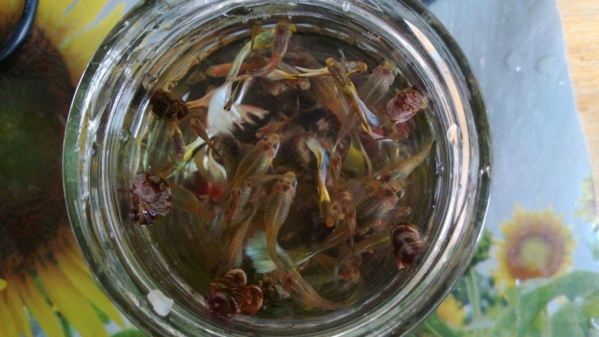 � ������� �� �� � ����� ����� ������ ����������� �� PhotoGeek.ru #�������� ���