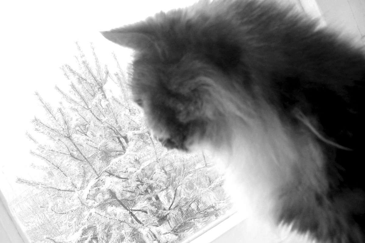 ����� ����� ������ ����������� �� PhotoGeek.ru #�������� ���