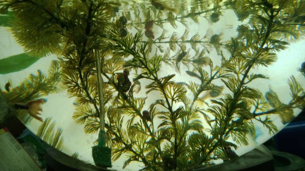 ... ����� ������ ����������� �� PhotoGeek.ru #�������� ���