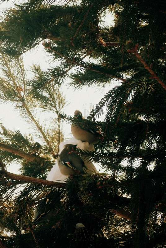 ���������� ����� ������ ����������� �� PhotoGeek.ru #�������� ���