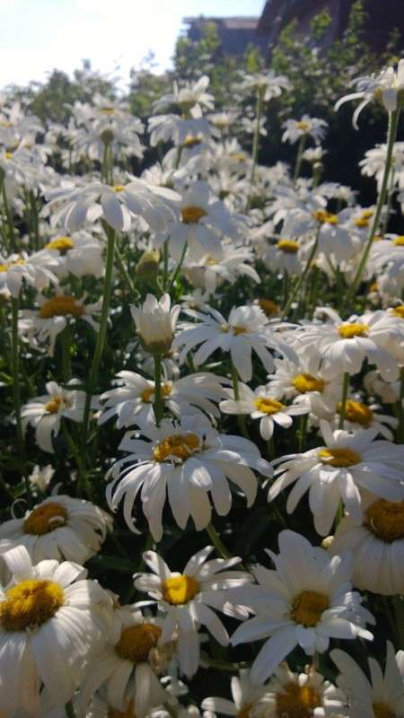 ������� ����� ������ ����������� �� PhotoGeek.ru #������ ��� �������