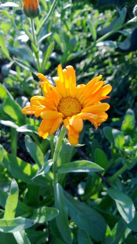 ������� ����� ������ ����������� �� PhotoGeek.ru #������ ��� �������