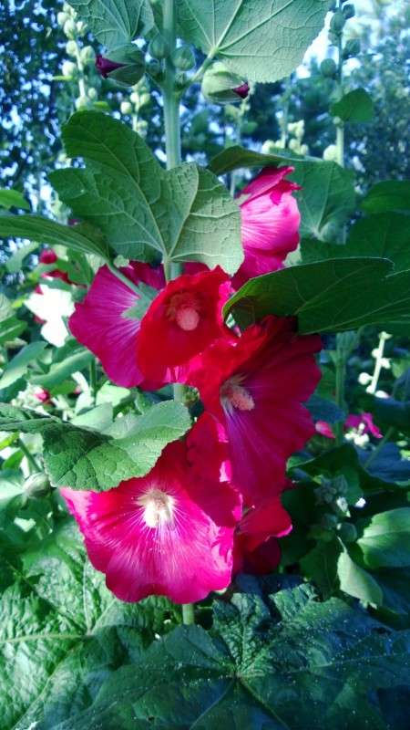 ... ����� ������ ����������� �� PhotoGeek.ru #������ ��� �������