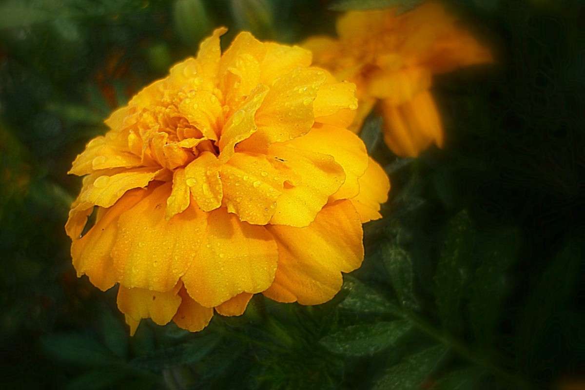 ... ����� ������ ����������� �� PhotoGeek.ru #������ ��� �������