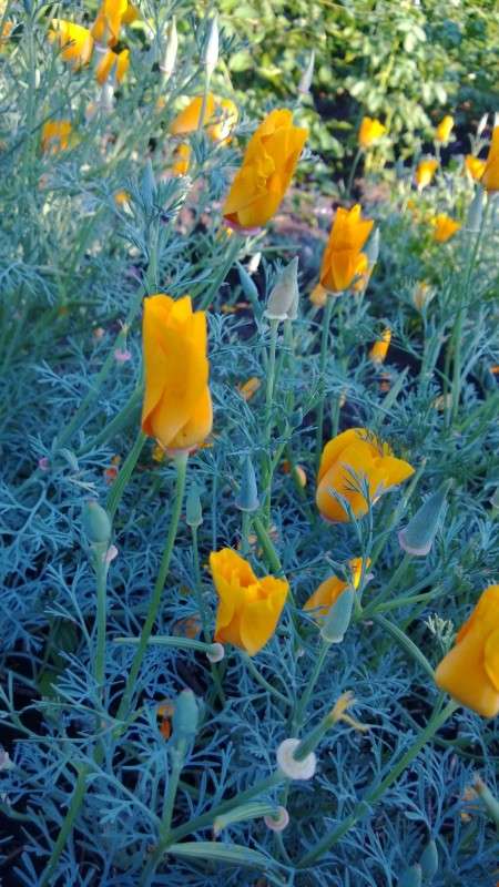 ... ����� ������ ����������� �� PhotoGeek.ru #������ ��� �������