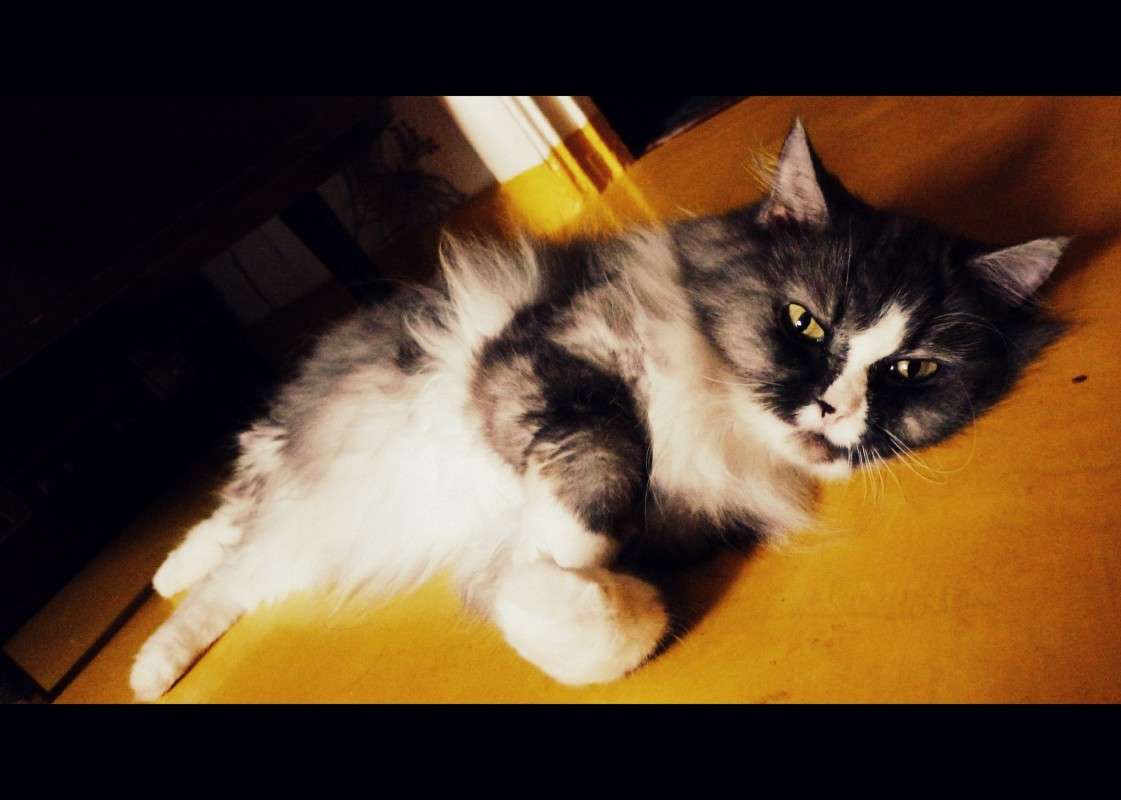 ... ����� ������ ����������� �� PhotoGeek.ru #�������� ���