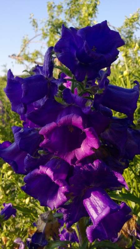 ... ����� ������ ����������� �� PhotoGeek.ru #������ ��� �������