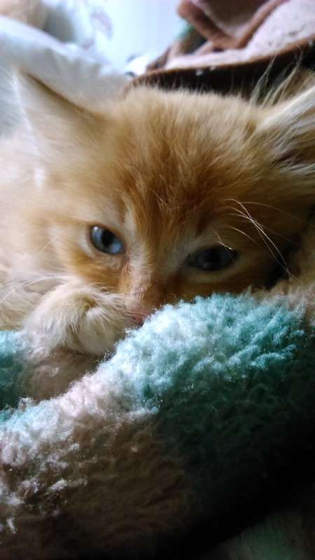 ... ����� ������ ����������� �� PhotoGeek.ru #�������� ���