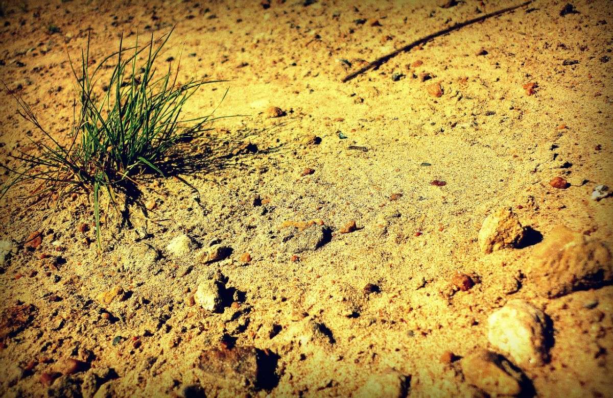 ... ����� ������ ����������� �� PhotoGeek.ru #������ ��� �������