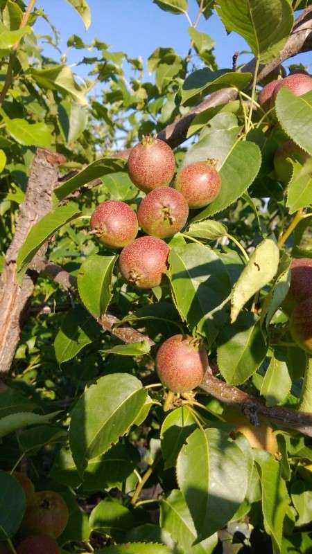 ... ����� ������ ����������� �� PhotoGeek.ru #������ ��� �������