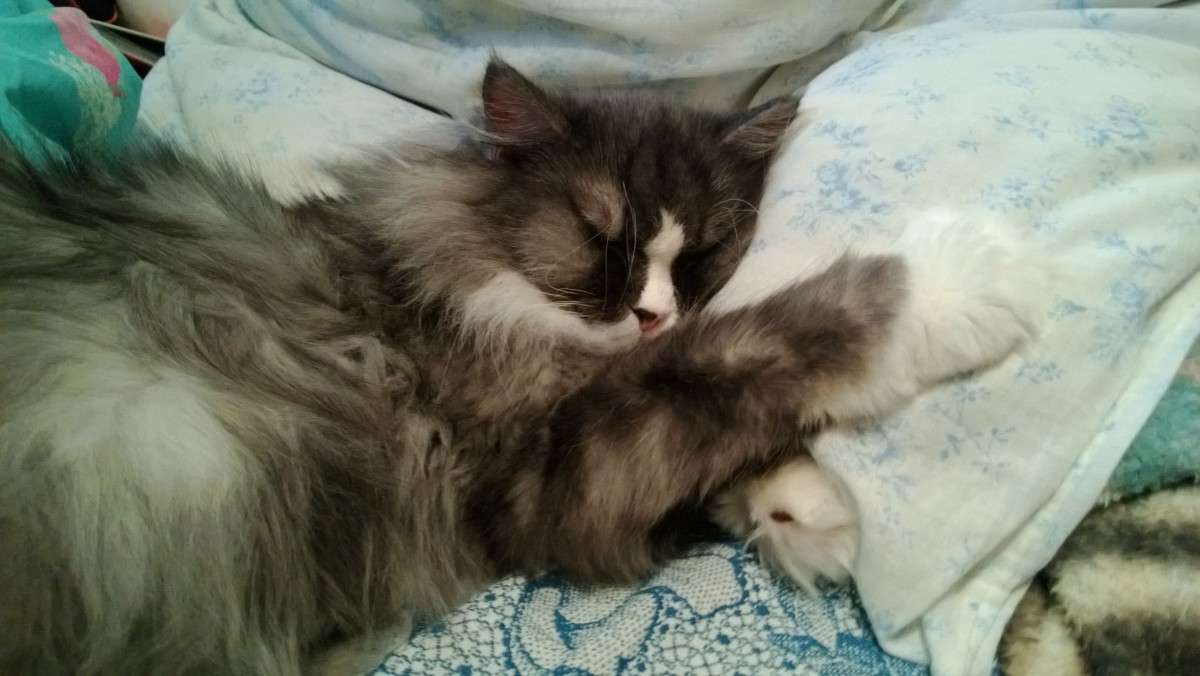 ... ����� ������ ����������� �� PhotoGeek.ru #�������� ���