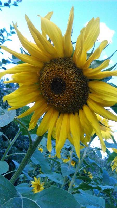 ... ����� ������ ����������� �� PhotoGeek.ru #������ ��� �������