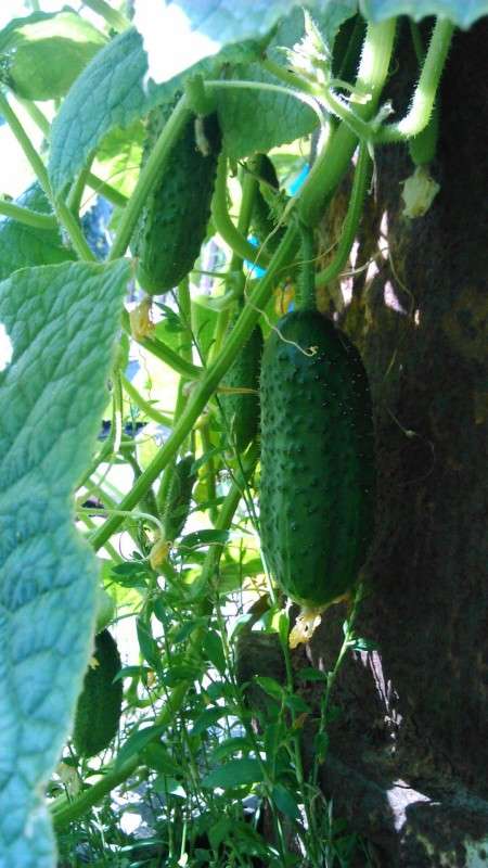 ... ����� ������ ����������� �� PhotoGeek.ru #������ ��� �������