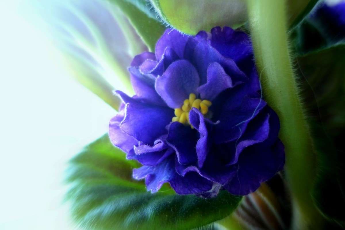 ... ����� ������ ����������� �� PhotoGeek.ru #������ ��� �������